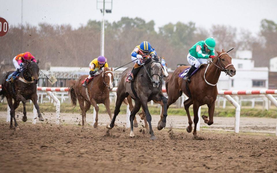 Se corre el especial "La Plata Capital" en el Hipódromo de La Plata