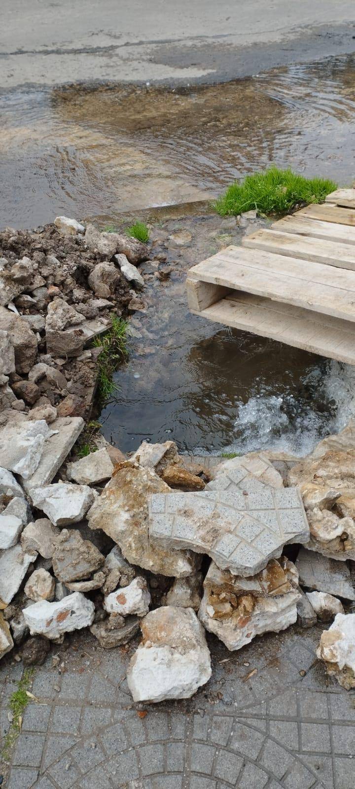 En las cercanías a Parque Vucetich, alarma una gran pérdida de agua
