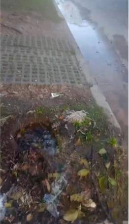 Una “vertiente” en la cuadra de 6 entre 529 y 530 y otra en 531, 3 y 4