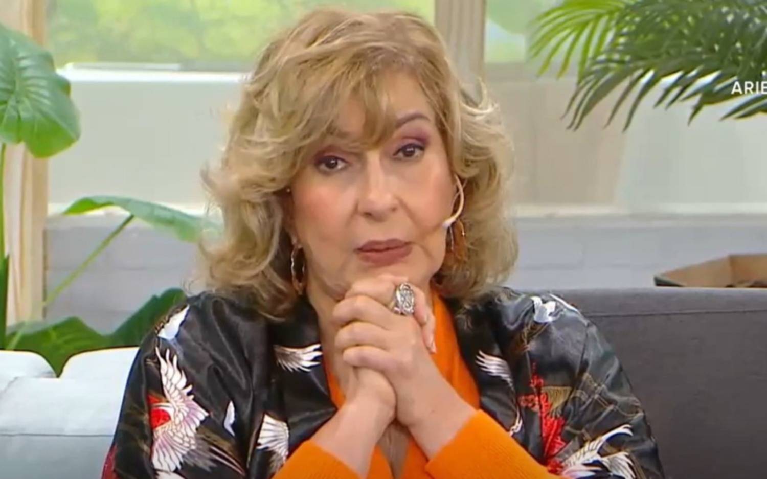 Áspera discusión entre Georgina Barbarossa y el denunciante que no permitió la cremación de Locomotora Oliveras