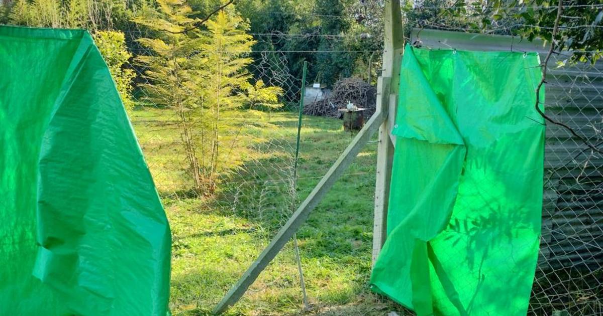 Villa Elisa, un colador para los delincuentes | El Dia