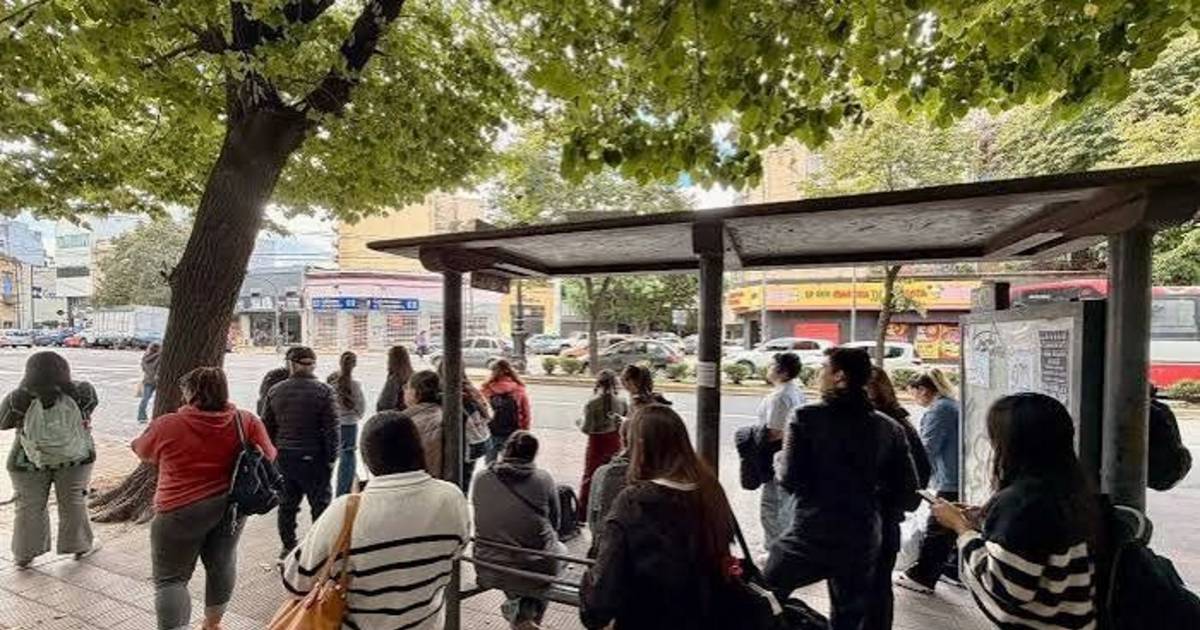 Usuarios de una línea de micros juntan firmas para que reincorporen a los choferes de un ramal | El Dia
