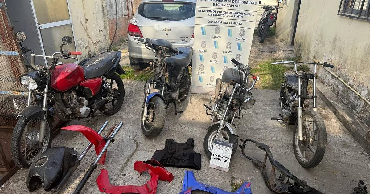 Investigan un presunto desarmadero de motos en Ringuelet: una mujer fue aprehendida | El Dia