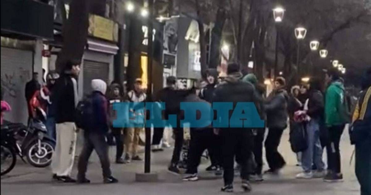 Video sensible | Pelea en 8 y 50 de La Plata: un joven recibió "un patadón" en la cabeza | El Dia