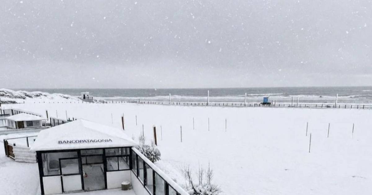 Video y fotos de la "bomba polar" que hizo nevar en la Provincia de Buenos Aires: qué se sabe del fenómeno | El Dia