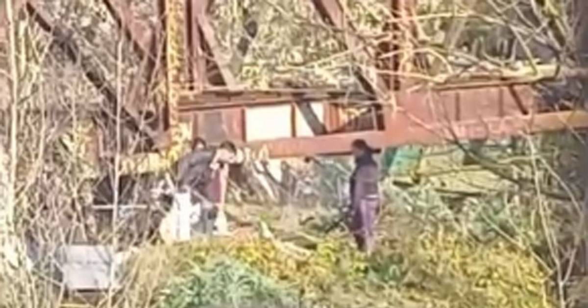 Denuncian nuevos movimientos en un predio de City Bell por un presunto intento de usurpación | El Dia