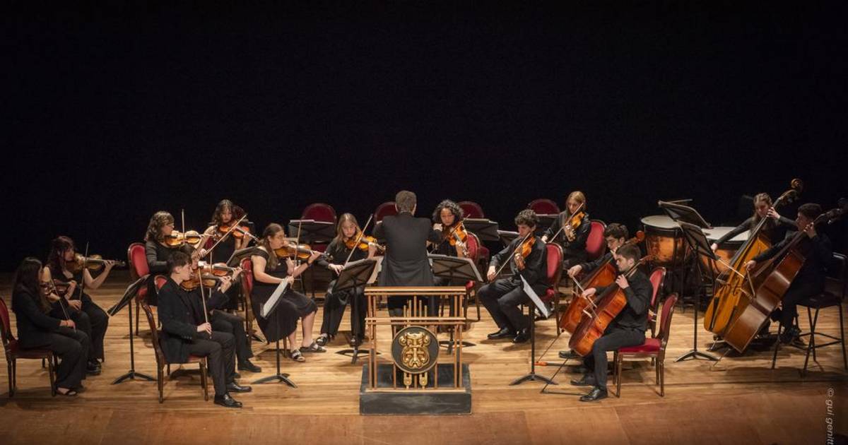 Camerata Académica del Teatro Argentino | El Dia