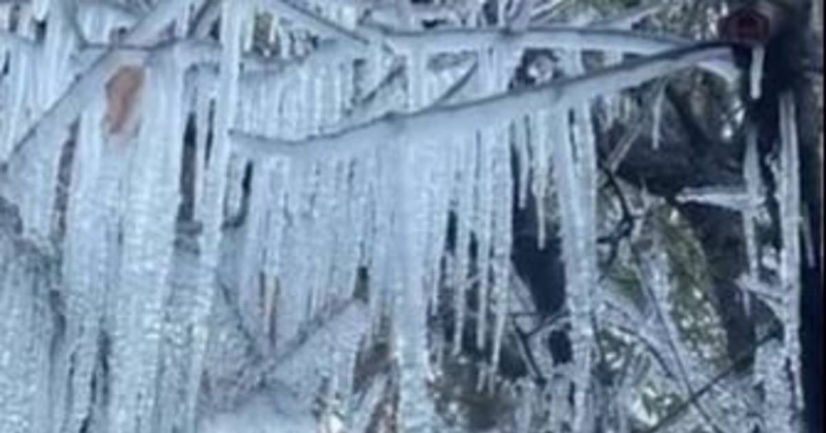 En La Plata ya se vive el día más frío del año | El Dia