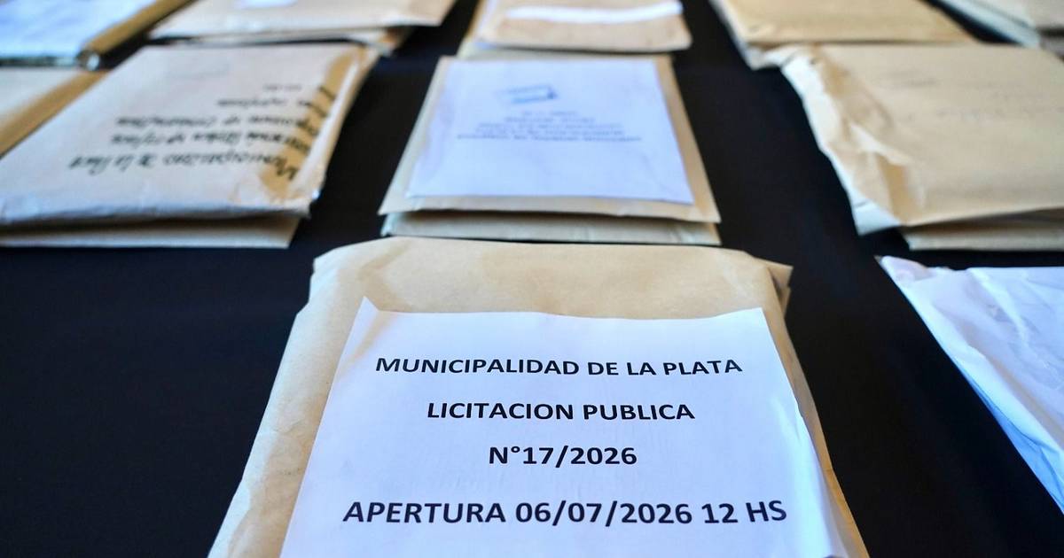 Avanza la licitación pública de servicios municipales de zanjeo, corte de pasto y barrido | El Dia