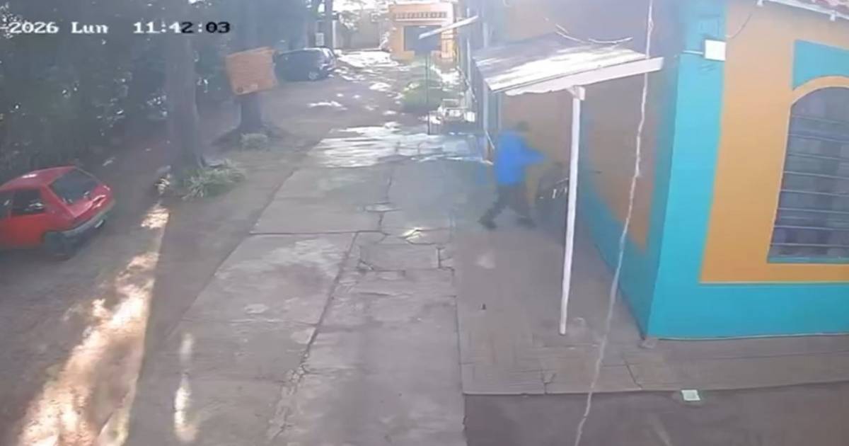 VIDEO. A plena luz del día: un delincuente saltó un alambrado y se llevó la bicicleta de un centro de día en Berisso | El Dia