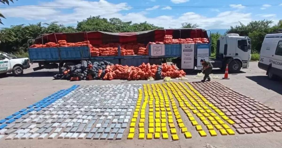 Avanza el narcotráfico: se quintuplicó la cantidad de cocaína incautada en el país | El Dia