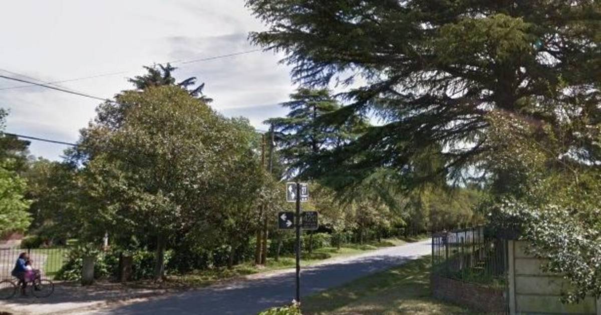 Propuestas sexuales a una jubilada acabaron mal | El Dia