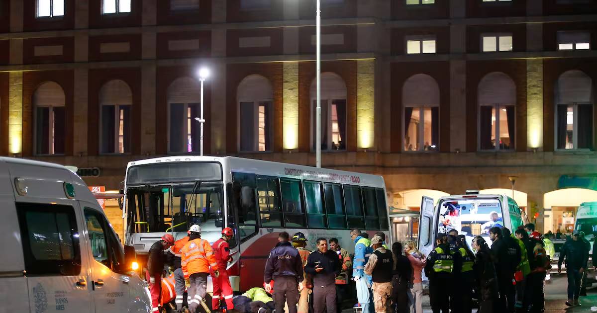Se realizaron las pericias mecánicas al colectivo que perdió el control y mató a una joven en Mar del Plata | El Dia