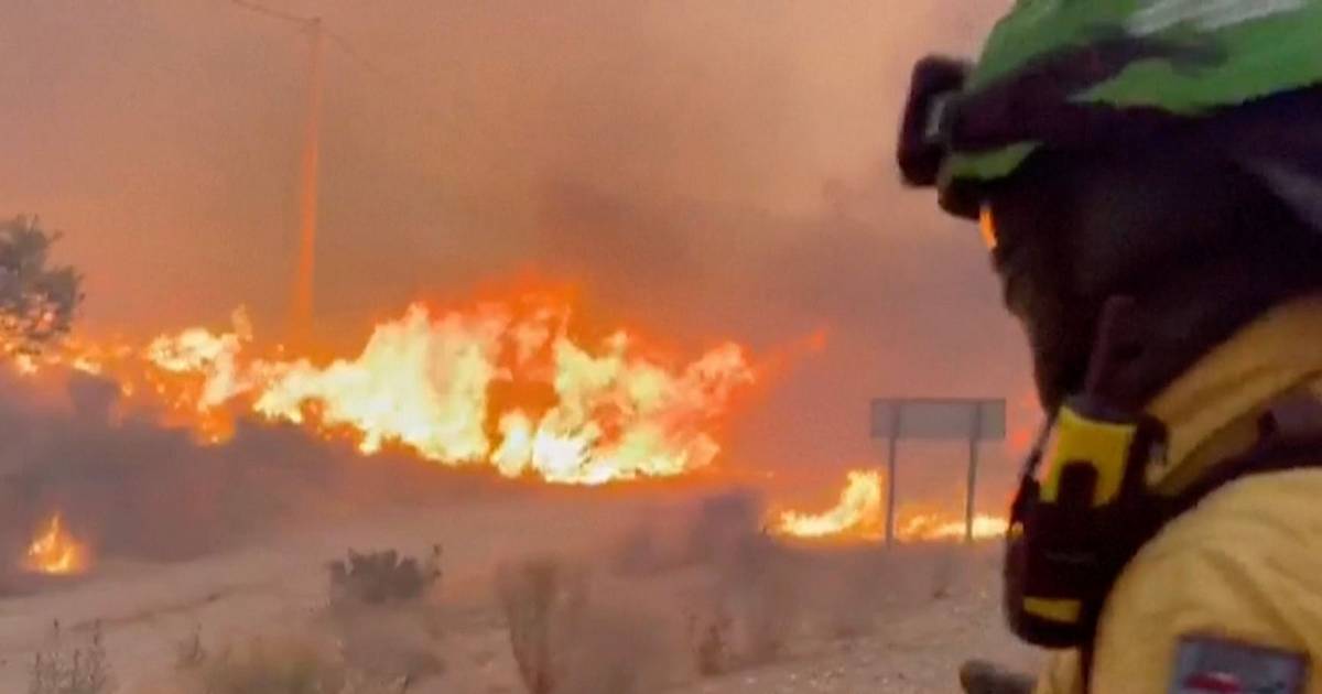 Al menos 11 muertos en España por un incendio: la mayoría fue encontrada dentro de los autos | El Dia