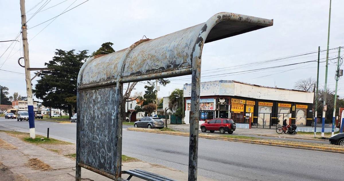Villa Elvira: vecinos denuncian abandono total y falta de refugios en las paradas de la avenida 7 | El Dia