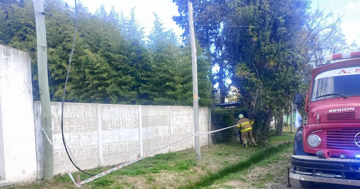 Susto en Arturo Seguí: un cable con electricidad cayó sobre un árbol y provocó un incendio | El Dia