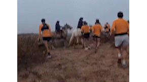 VIDEO.- A rebencazos limpios: así jinetes atacaron a corredores en plena competencia | El Dia
