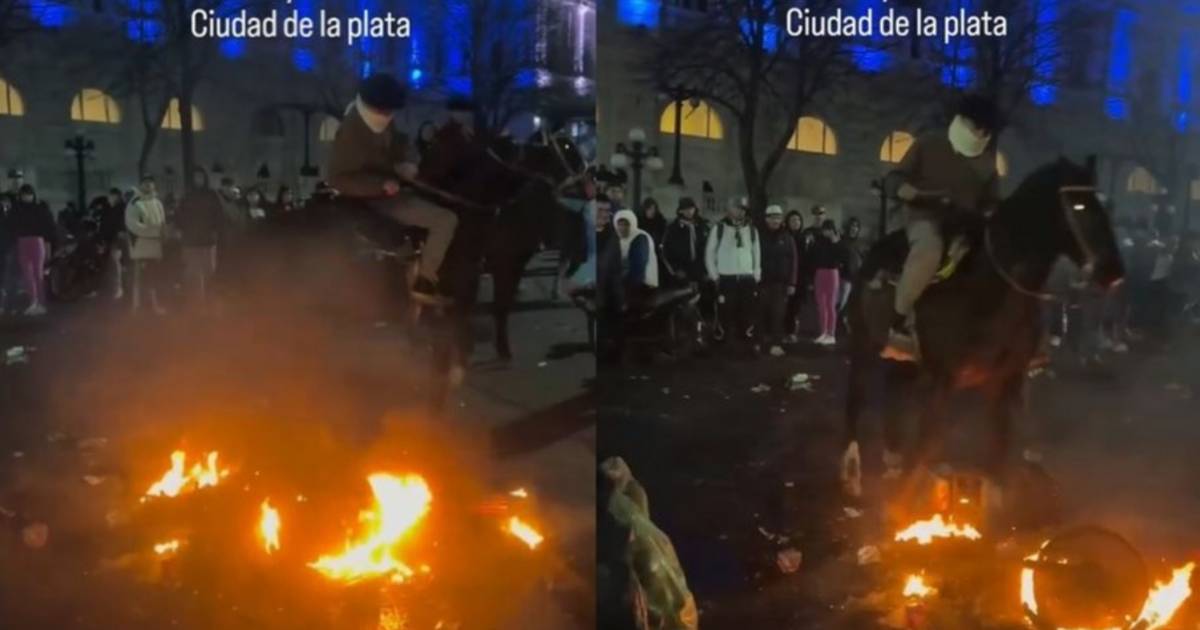 Jinete denunciado en La Plata por hacer caminar a su caballo sobre una moto incendiada en 7 y 50 | El Dia