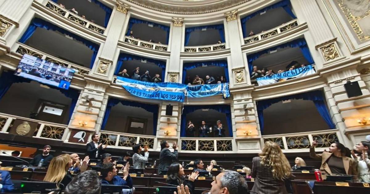 Diputados sancionó la reparación a exsoldados de la guerra de Malvinas | El Dia