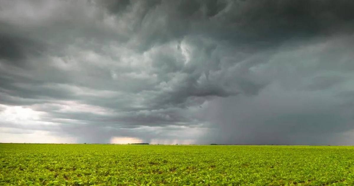 Pronóstico del tiempo en la Provincia de Buenos Aires: la ola polar le da paso al "veranito de julio" y a las lluvias | El Dia