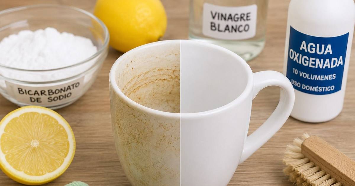 El truco casero, sin lavandina, para sacar las machas de café en las tazas blancas | El Dia