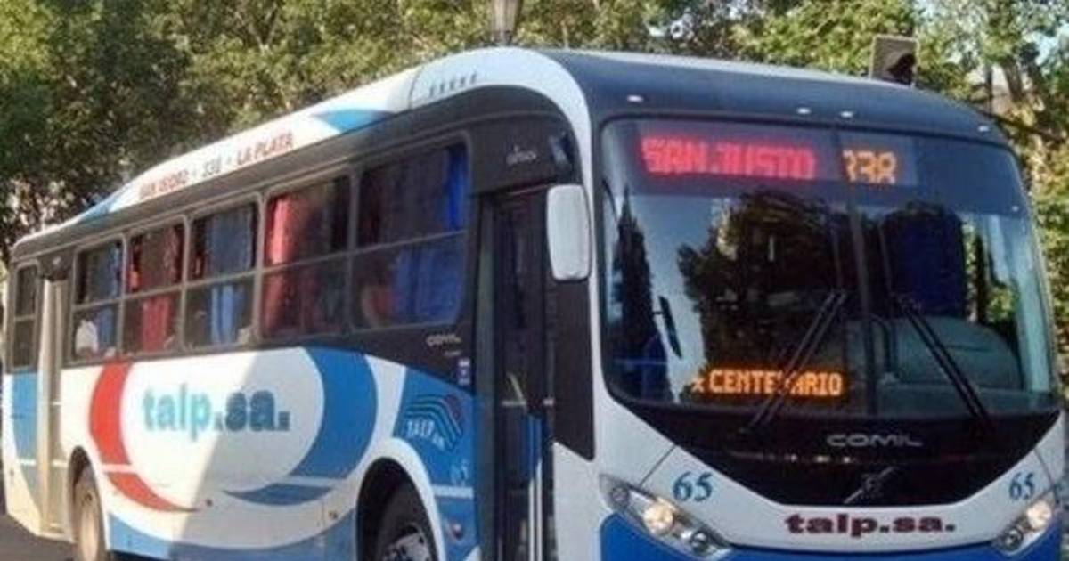 Para facilitar la llegada a las facultades, anuncian más micros de la Línea 338 | El Dia