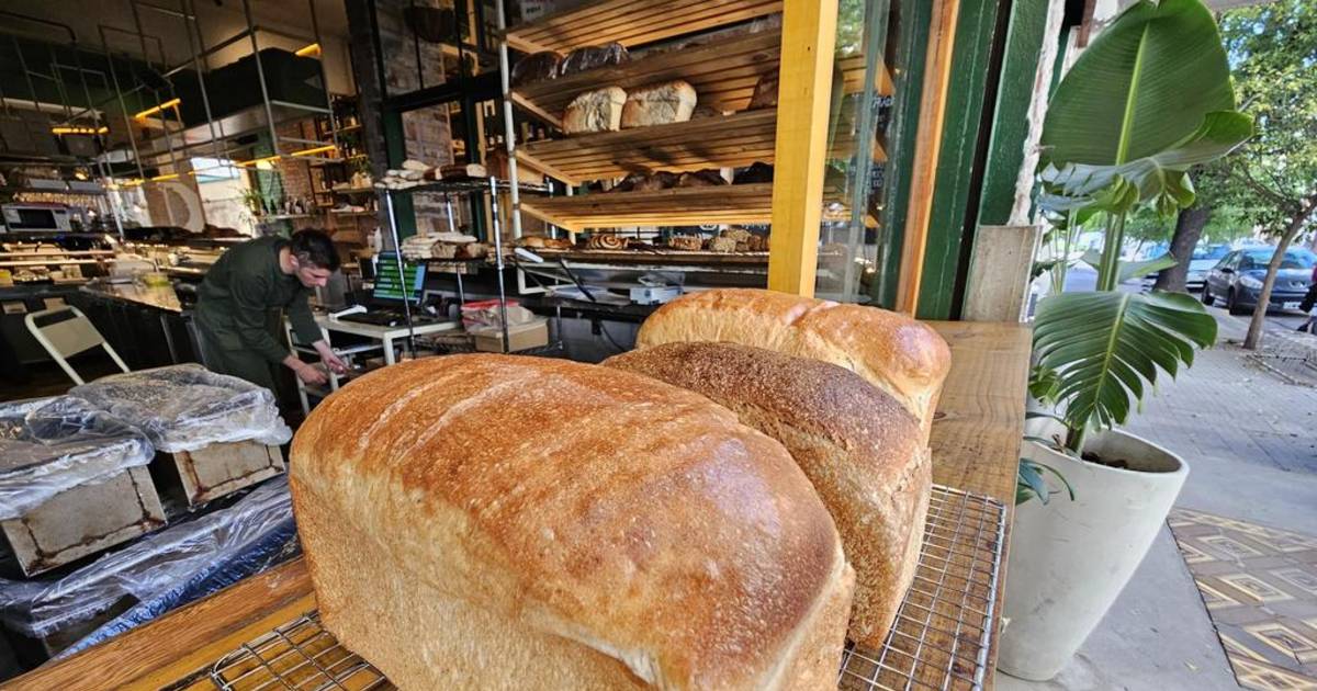 Menos pan y la factura, un lujo: panaderías resisten la caída del consumo | El Dia