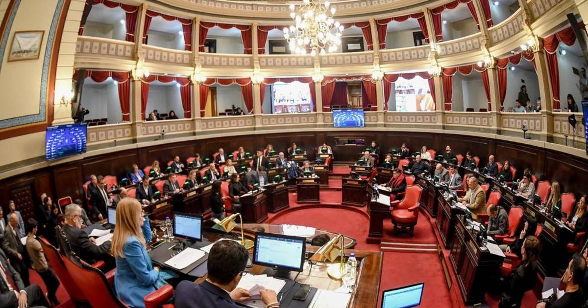 Triunfo libertario, palos a un converso y la pelea marplatense en el Senado | El Dia