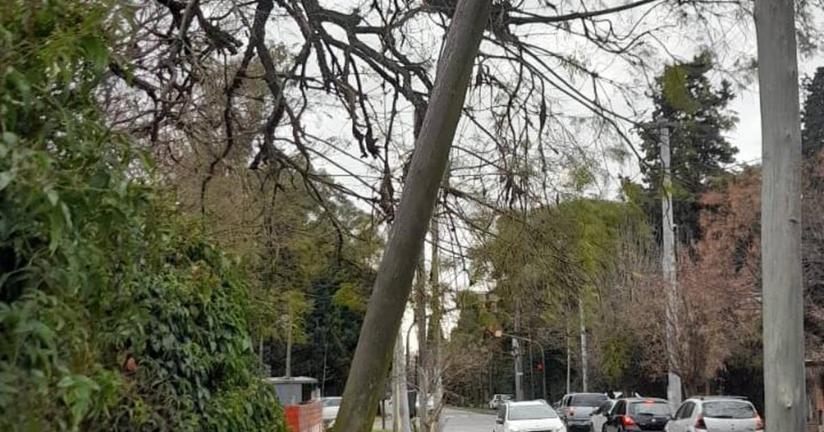 Alerta por un poste del tendido eléctrico torcido, en riesgo de caer | El Dia