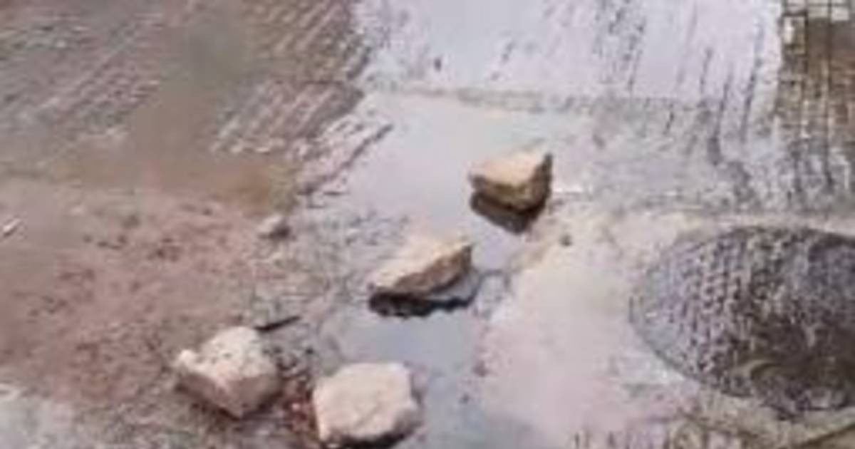 Corre agua en 14, 64 y 65 por la rotura de un caño junto al Hospital de Niños | El Dia