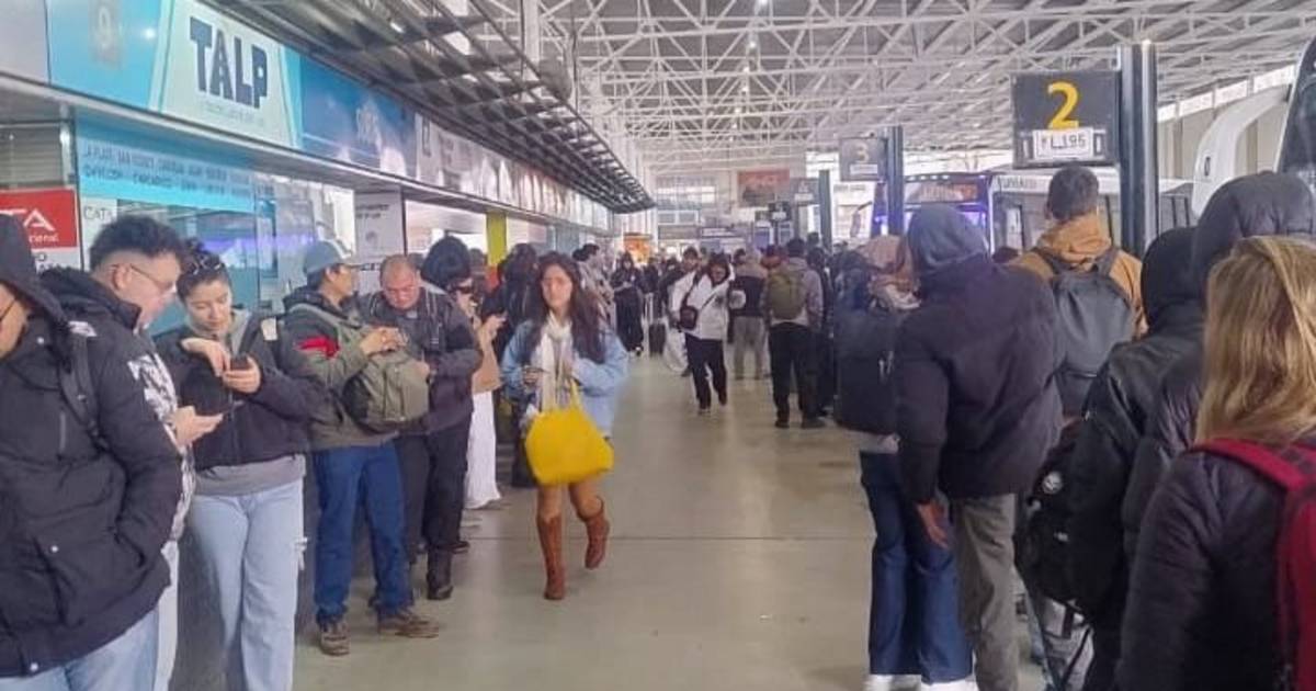 Micros en La Plata: largas colas en La Terminal y en paradas, con frecuencias reducidas | El Dia