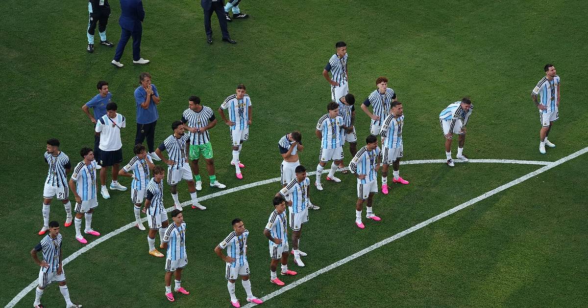 Cuándo llega la Selección a Argentina tras la final del Mundial | El Dia
