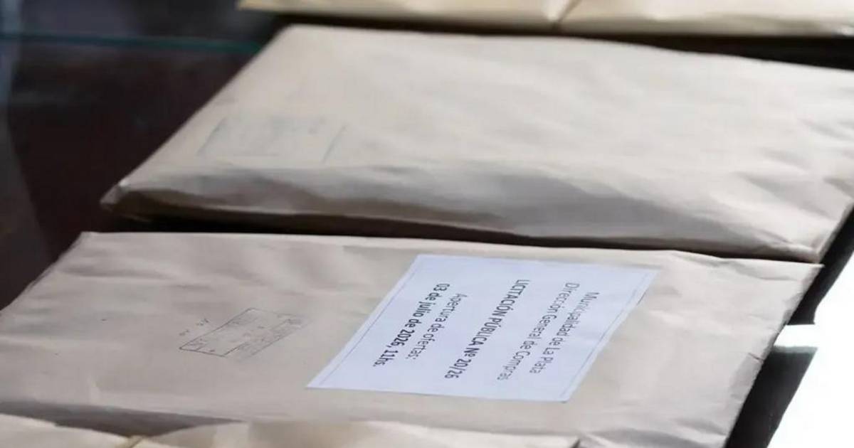 Cooperativas: se adjudica la licitación para tareas municipales | El Dia