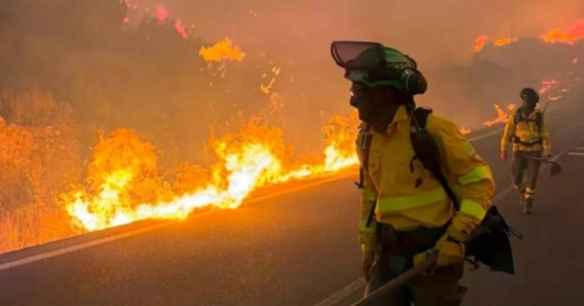 El Zonda más fuerte en 30 años causó incendios y apagones en Jujuy | El Dia