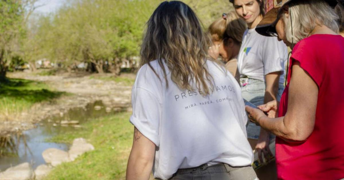 Ciencia ciudadana: desarrollan desde La Plata un semáforo ambiental para el país | El Dia