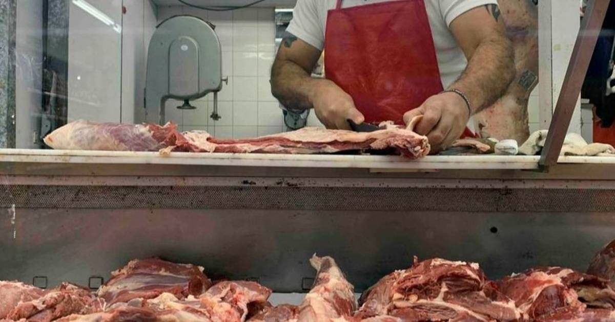 Asado en retirada: el consumo de carne vacuna cayó más de 11% en el primer semestre | El Dia