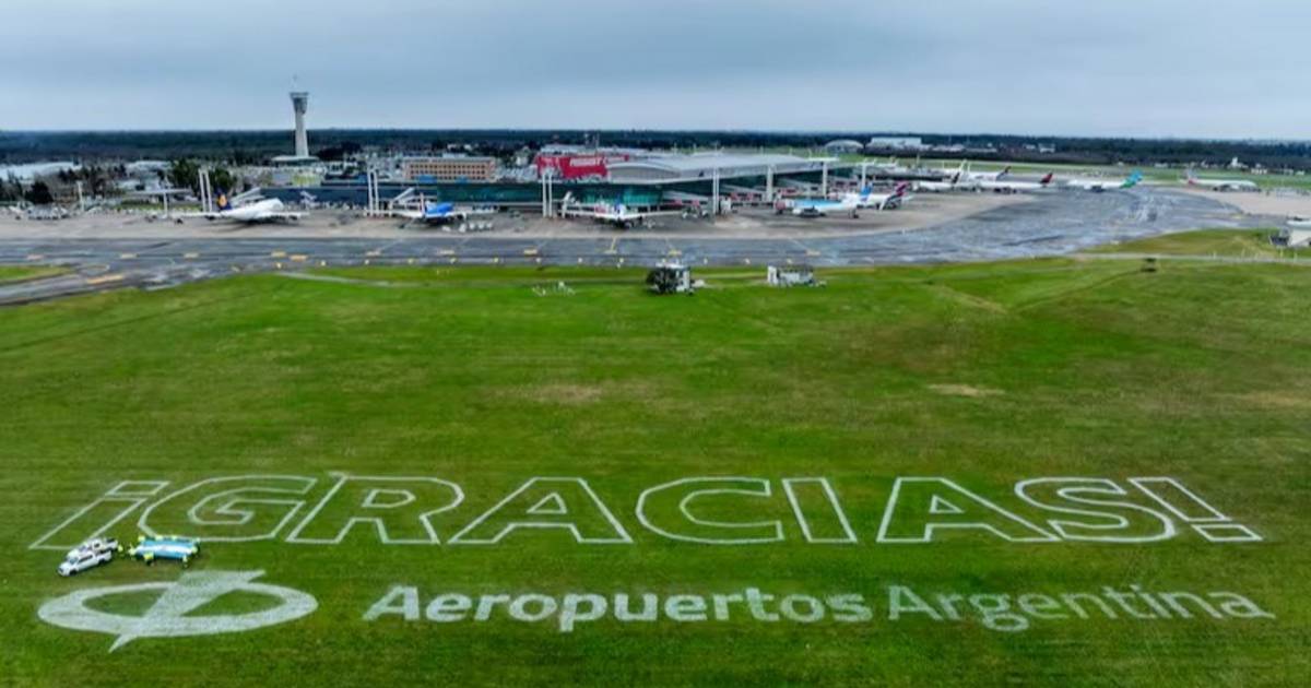 El emotivo mensaje que recibió la Selección al aterrizar en Ezeiza: "Siempre serán nuestros campeones" | El Dia