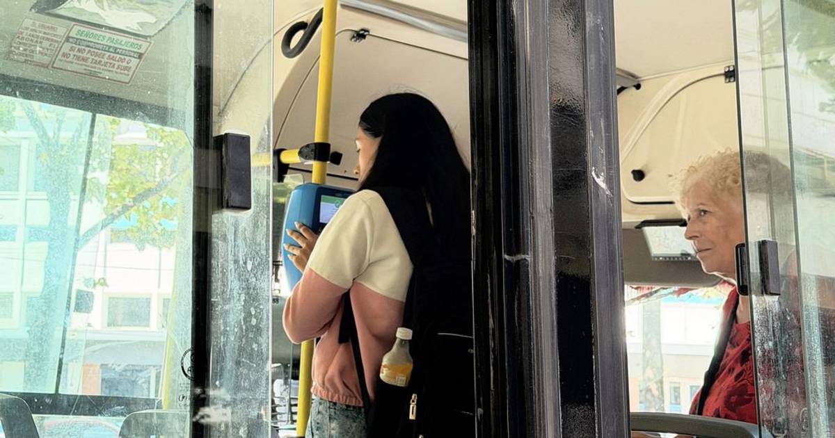 El avance de los viajes por apps y la crisis del colectivo: la nueva movilidad cotidiana en la Región | El Dia