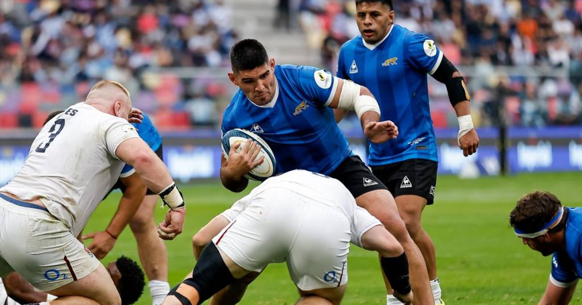 La derrota de Los Pumas con Inglaterra trajo consecuencias | El Dia
