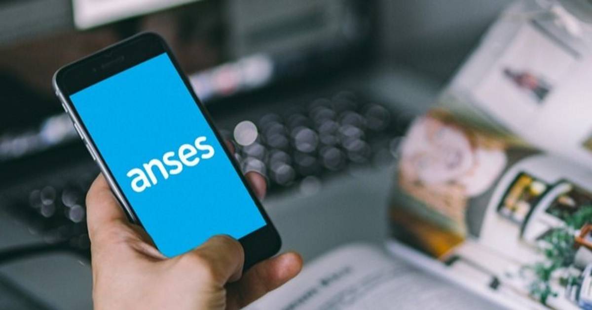 Anses activó un nuevo mecanismo para sacar turno: paso a paso, cómo solicitarlo | El Dia