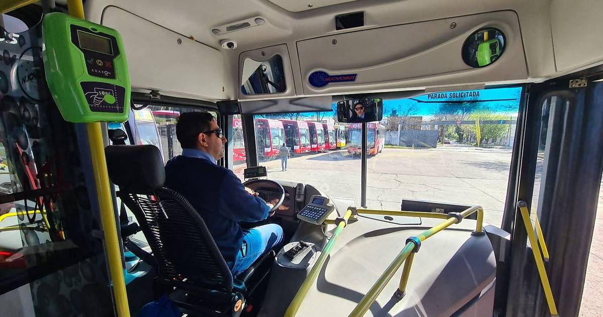 Se convirtió en ley el uso de pictogramas en el transporte público bonaerense | El Dia