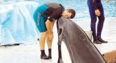 San Clemente: termas, un oceonario y mucho más