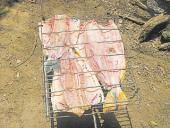 Dorado a la parrilla