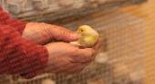 El pajarito campeón del mundo, un orgullo con marca platense
