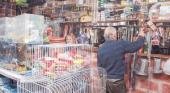 Las forrajerías resurgen en barrios de nuestra región