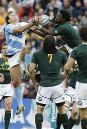 Los Pumas, históricos