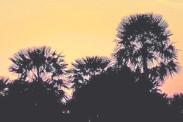 Formosa se hace fuerte con el paisaje de sus áreas protegidas