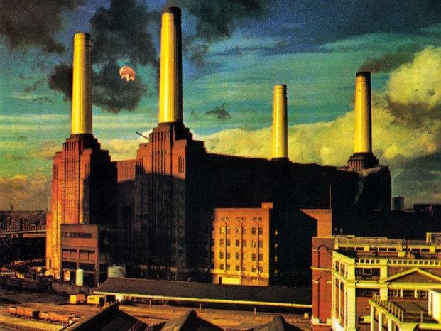 Pink Floyd se reencuentra con  su cerdo inflable