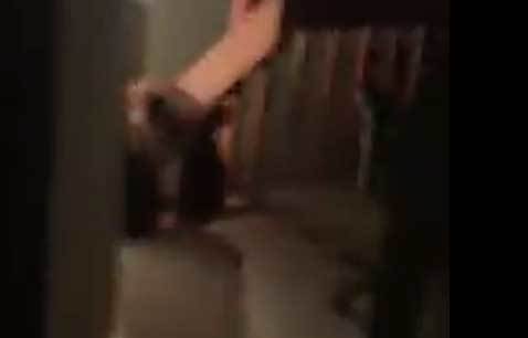 Un oso visita una casa y causa enorme susto a sus ocupantes