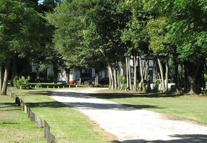 Mañana podrían parar las Juveniles